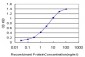 NME1 Antibody (monoclonal) (M02)